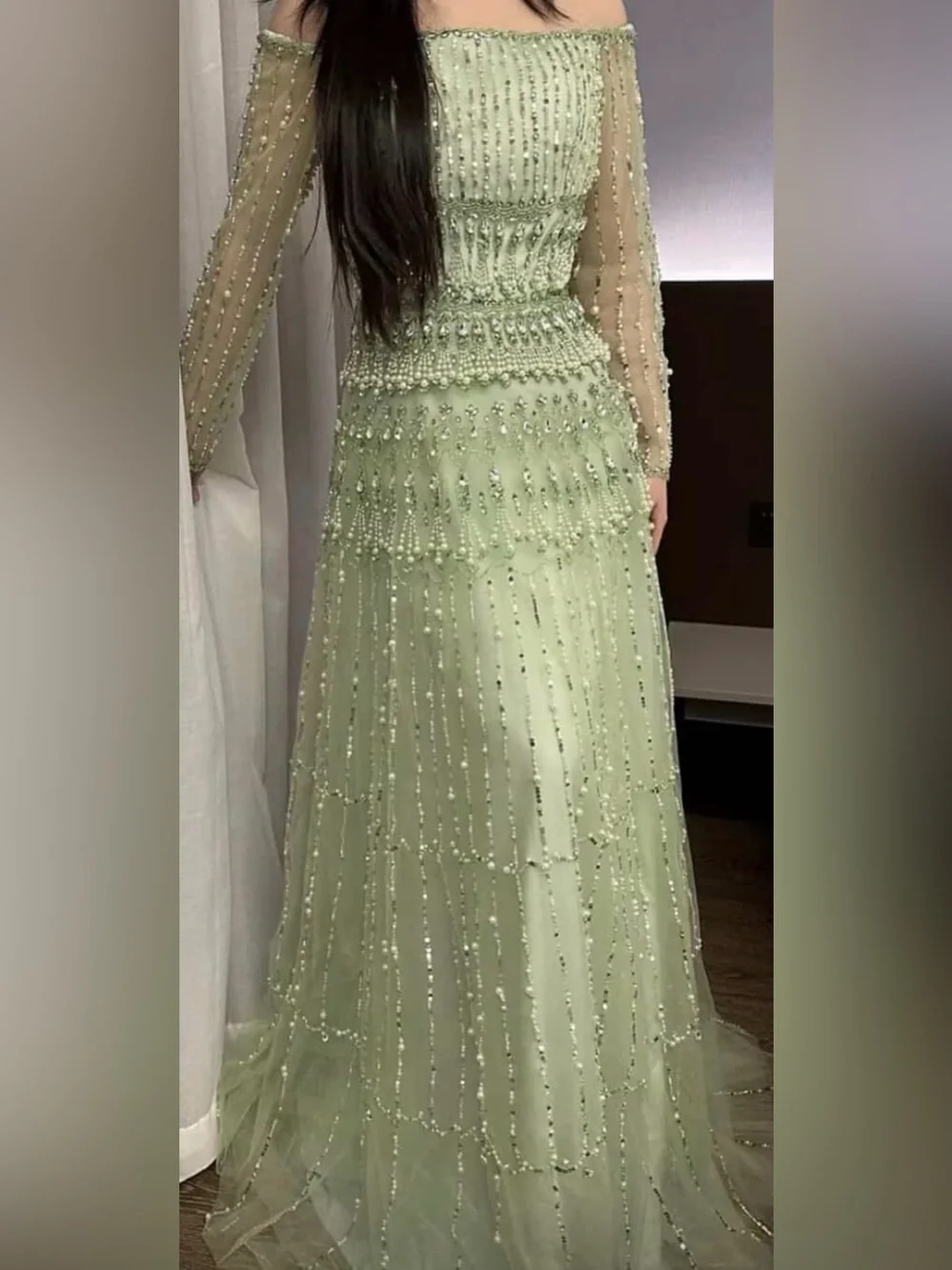 Embellished Light Green Beaded Gown - Picture 1 of 2